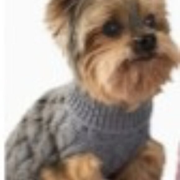 Cozy Knit Pet Sweater for Cats & Dogs - Warm Pullover, Teal Blue, Size S - Picture 7 of 9